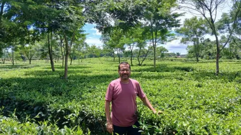 Courtesy of Fernanda Pizol Coffee bean exporter Fernanda Pizol pictured walking through hedges in a coffee plantation in Brazil.