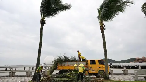 Getty Images Workers trim branches along a sea-front street in Zhuhai as two tall trees sway in the wind. 