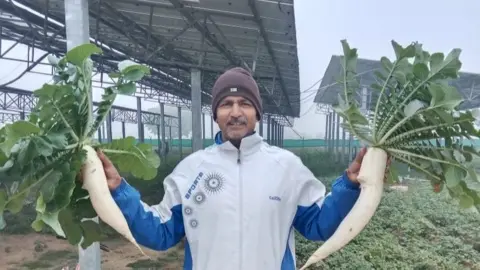 Harpal Dagar Wearing a brown beanie hat and white sports jacket, Harpal Dagar holds up, either side of him, two large, white root vegetables. Behind him you can see solar panels, on frames, about 12 feet in the air.
