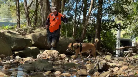Australian Broadcasting Corporation Volunteer with cadaver dog taking part in the search in Wollongong