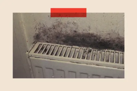 Rochdale Coroner's Office A radiator with mould 