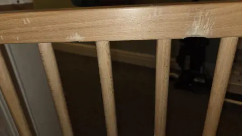 Jess Harry A wooden gate with bite marks in it.