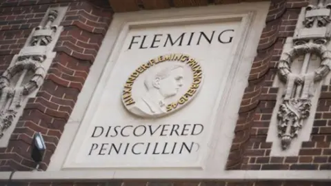 Imperial A stone representation of Alexander Fleming on the side wall of a building, which says Fleming Discovered Penicillin'