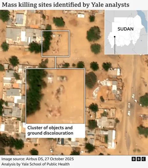 A satellite image showing a cluster of objects in el-Fasher. Analysts believe they show bodies.  