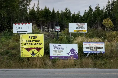 A group of roadside signs on a grassy highway shoulder, with one yelloew, red and black one reading: 'Stop spraying New Brunswick.' Others are simple ads, including for a quilt store and a hotel. 