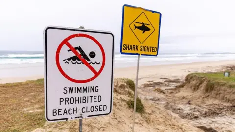 Getty Images A beach with two signposts, one saying "Swimming prohibited beach closed" next to a crossed our symbol of a person swimming, the other saying "Shark sighted" next to a symbol of a shark underwater